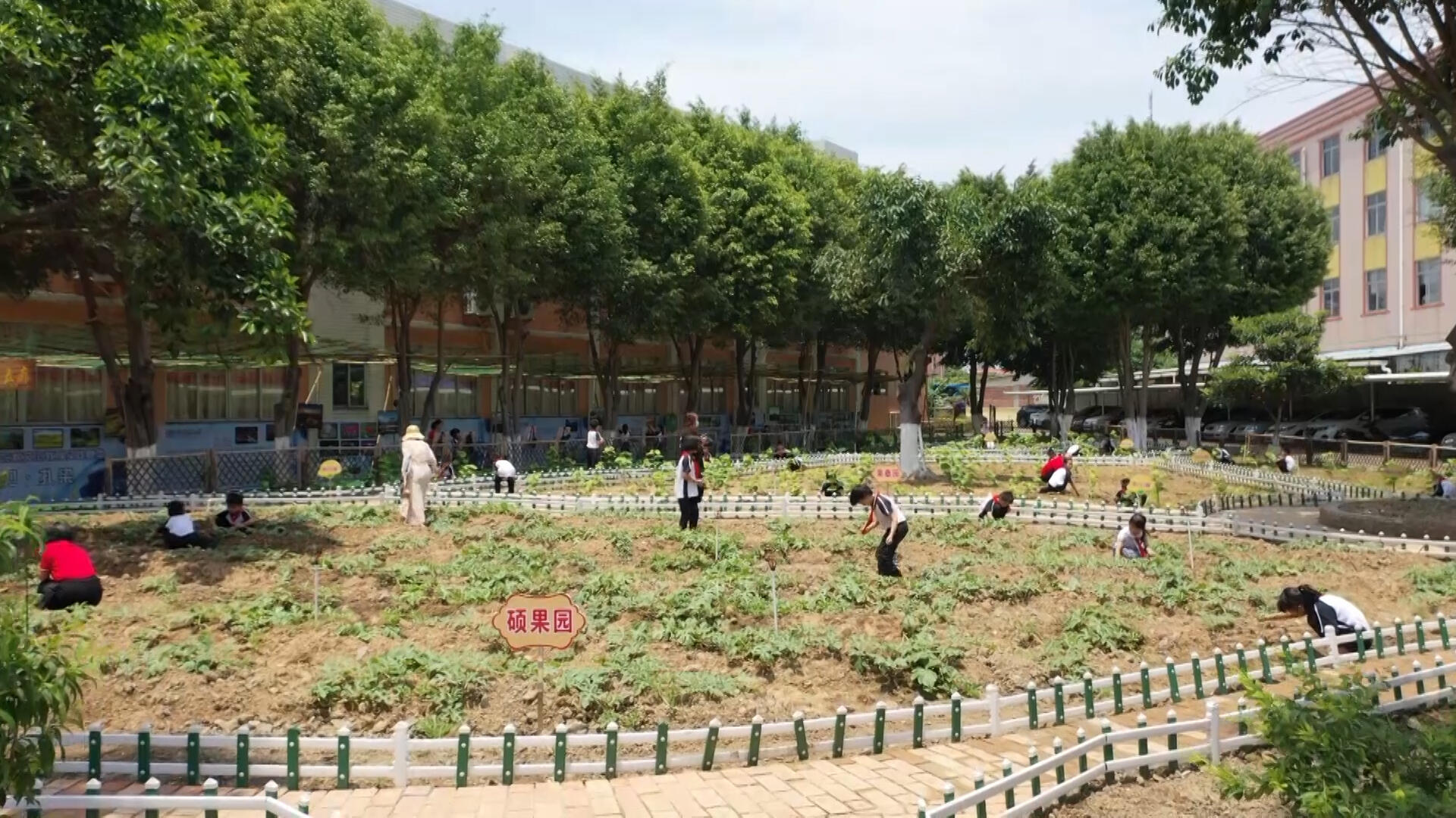 叶霖佳小学桑基鱼塘农耕文化实践教育基地成立