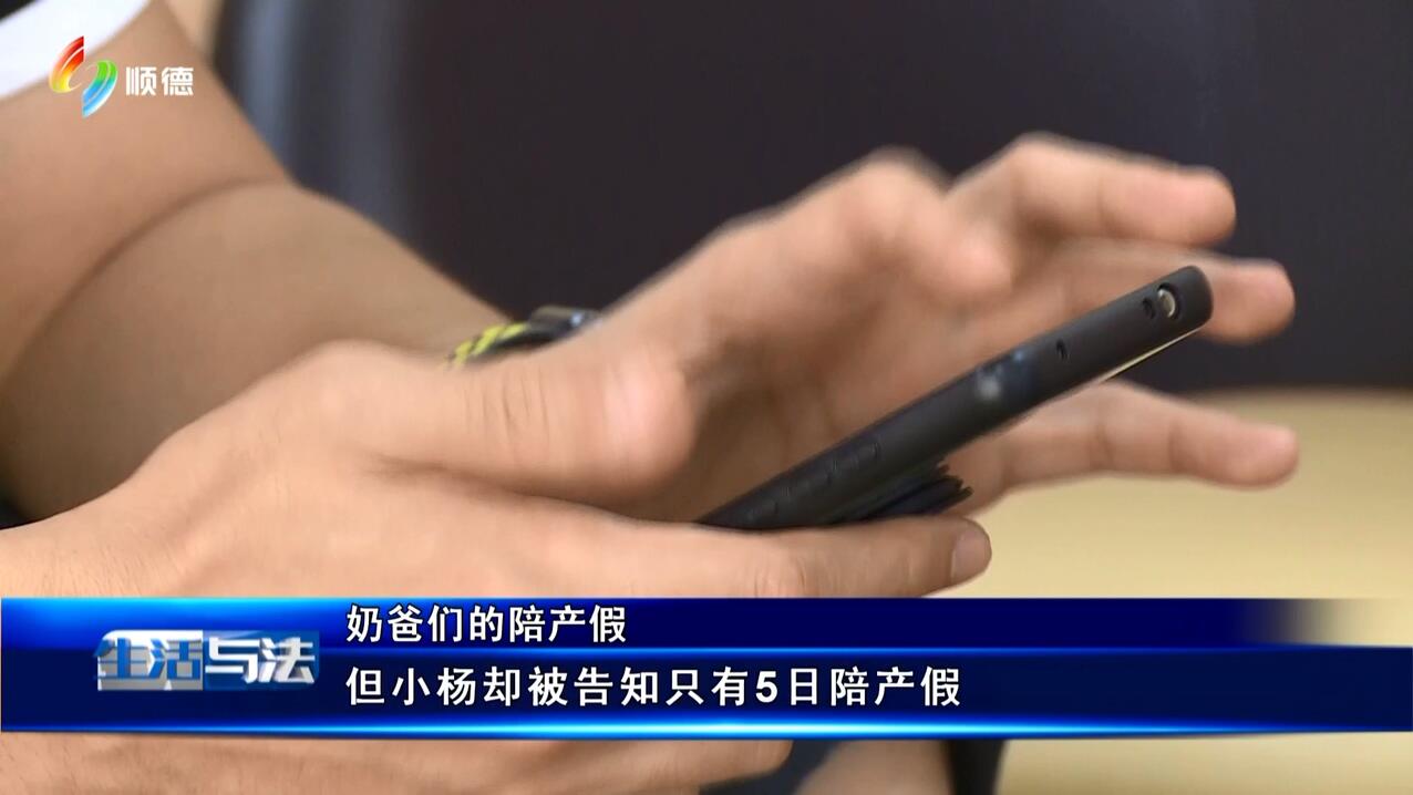 生活与法（05月24日）