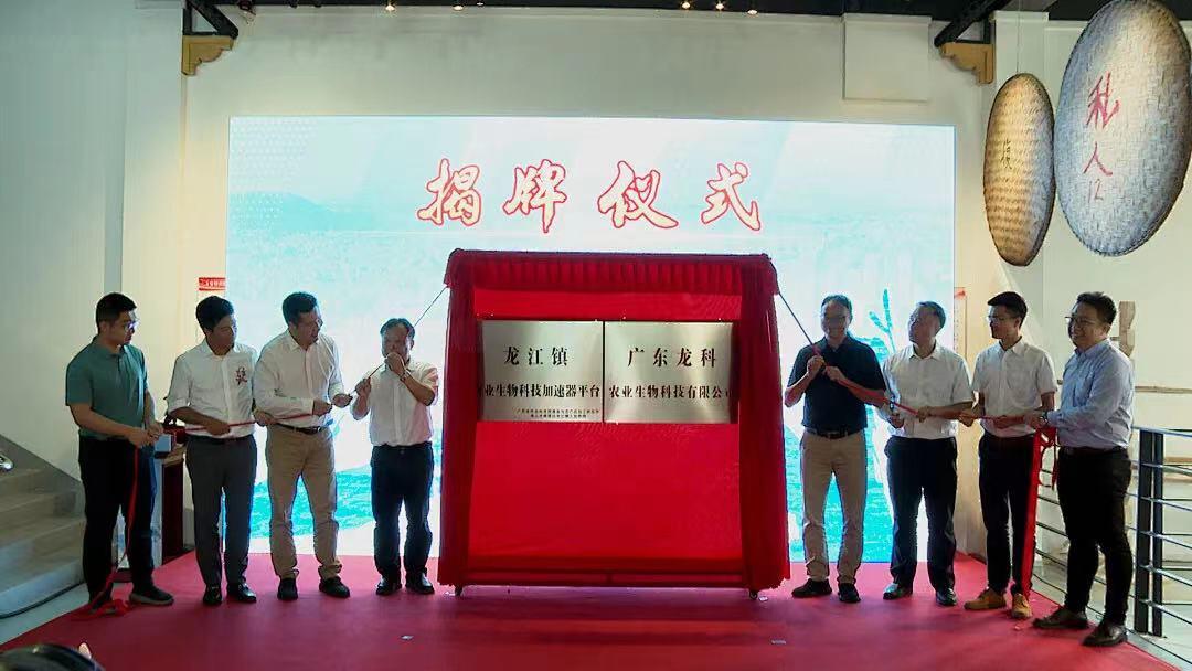科技赋能 龙江开启“科技+农业+商业”新发展模式