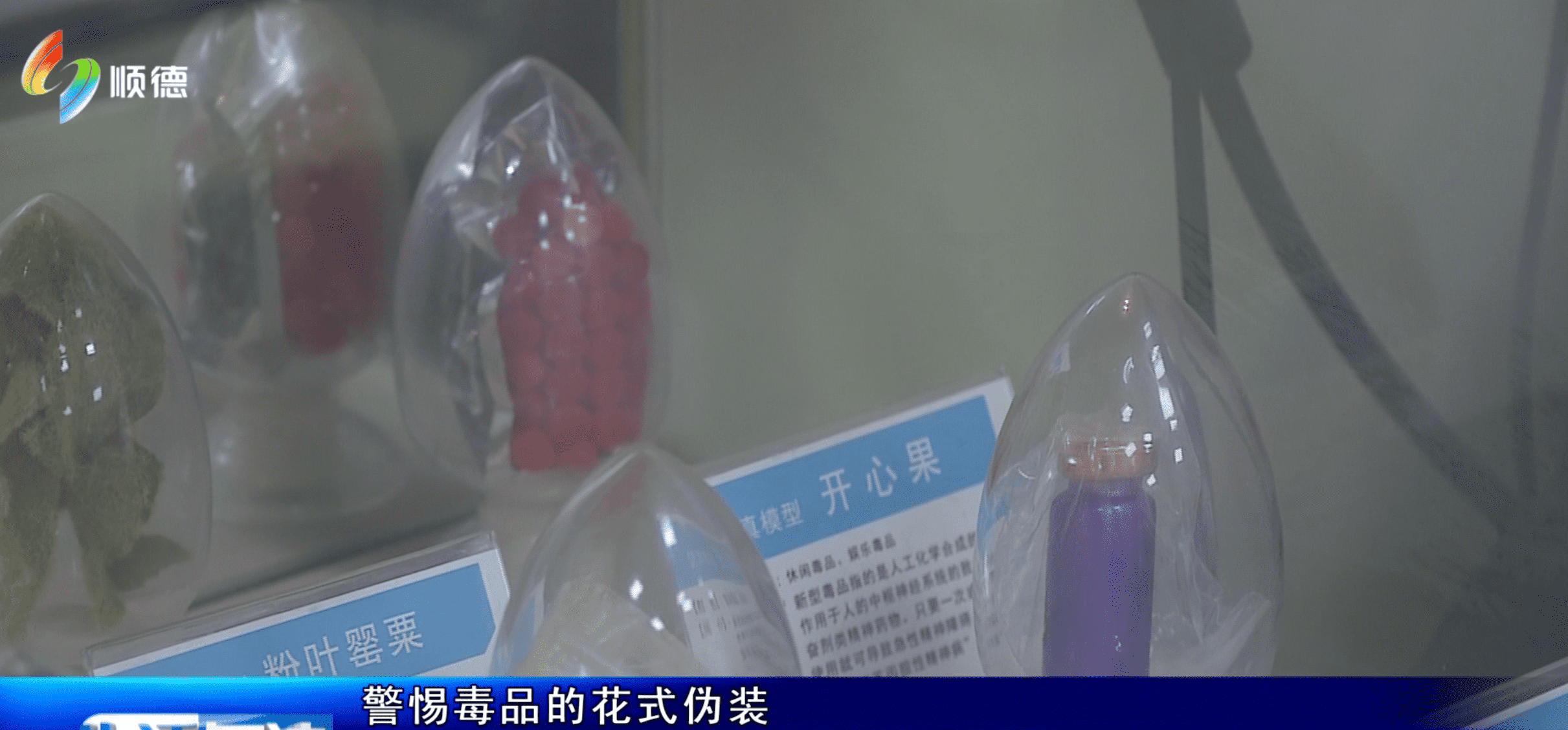 《生活与法》6月28日