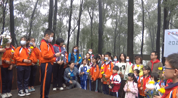 九江镇开展“我们的节日•清明”活动