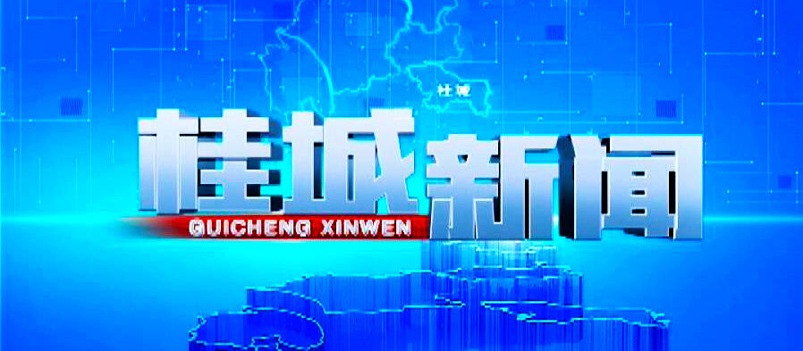 《桂城新闻》2023年11月17日 