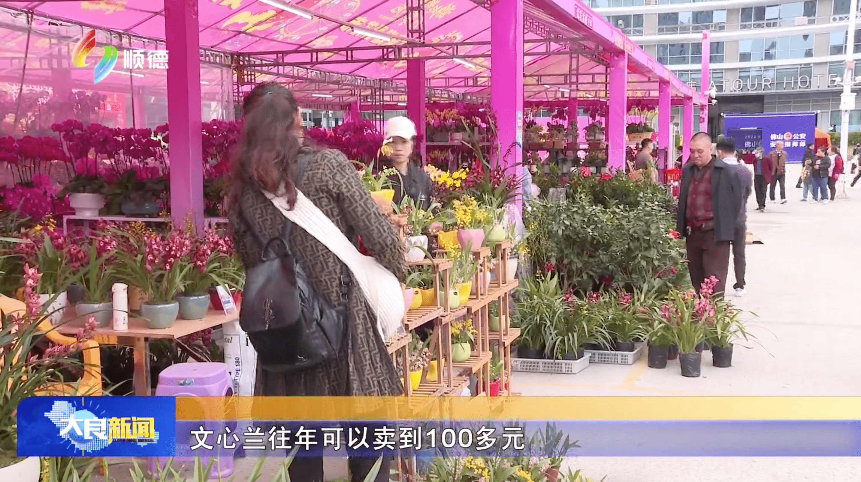 大良花市年花畅销 价格实惠人气旺