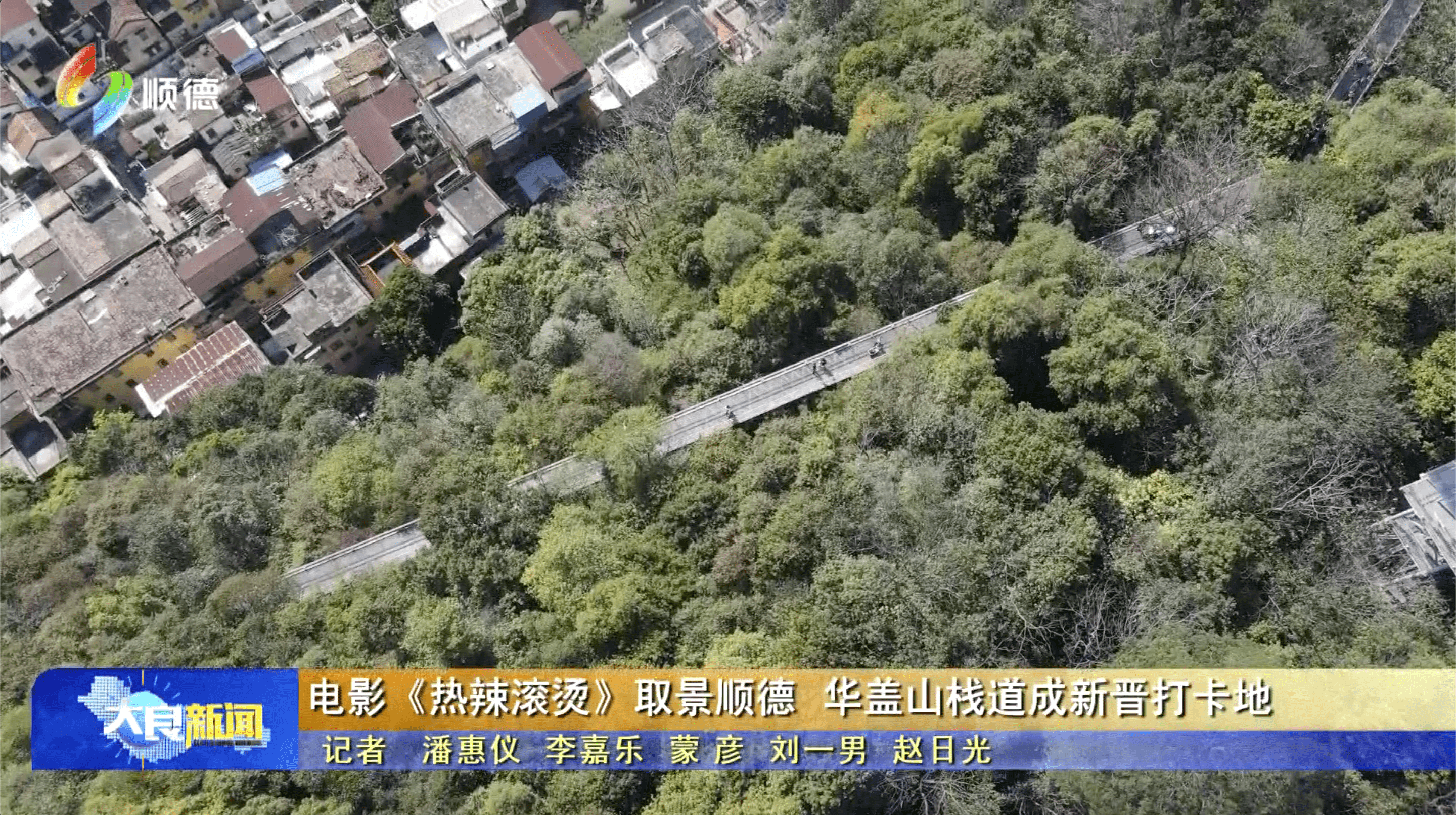 《热辣滚烫》取景顺德 华盖山栈道成新晋打卡地