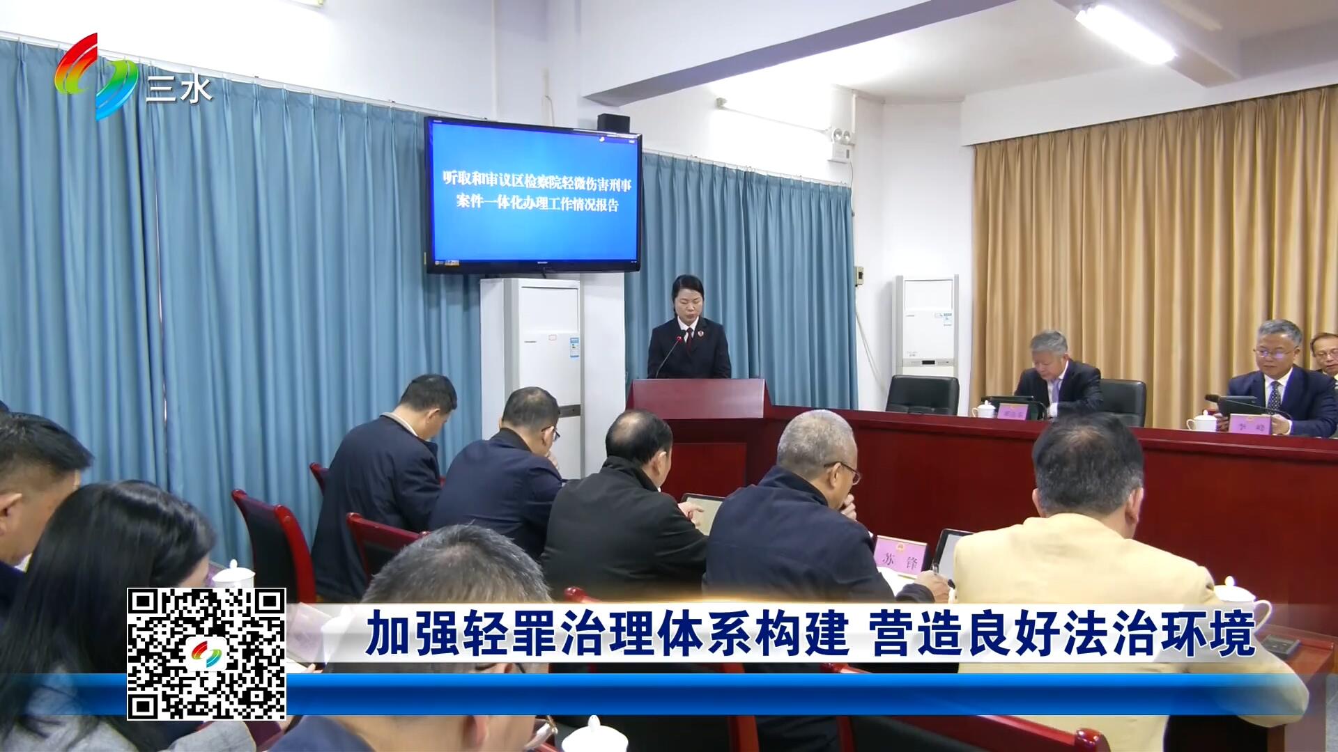 加强轻罪治理体系构建 营造良好法治环境
