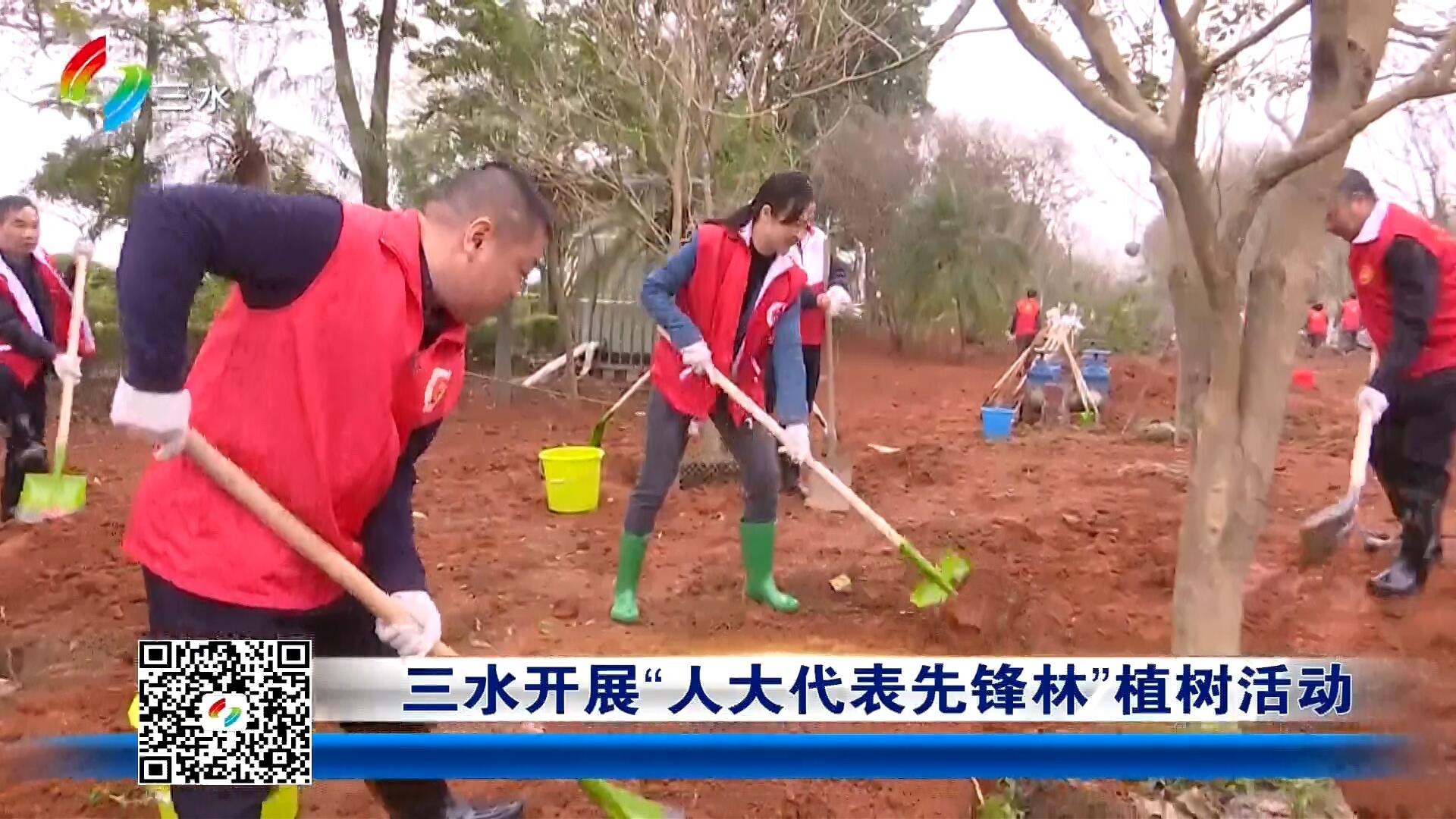 三水开展“人大代表先锋林”植树活动