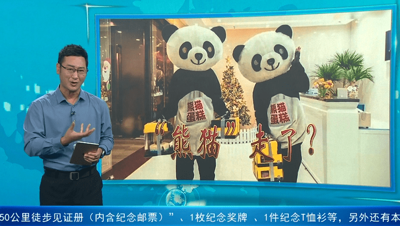 “熊猫不走”人走了？网红蛋糕品牌全国门店停运