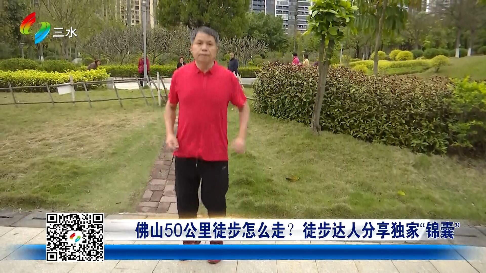 佛山50公里徒步怎么走？徒步达人分享独家“锦囊”