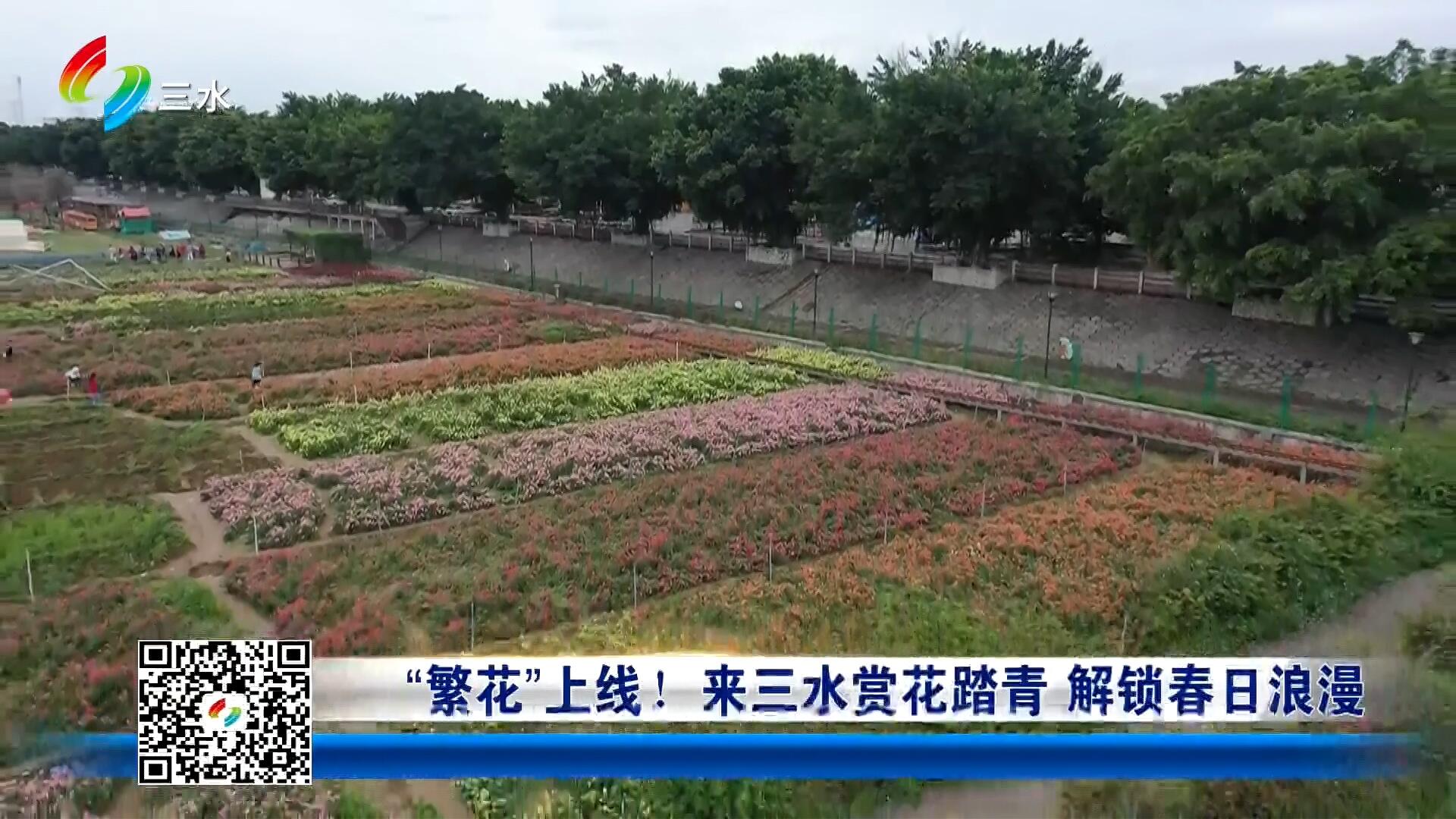 “繁花”上线！来三水赏花踏青 解锁春日浪漫