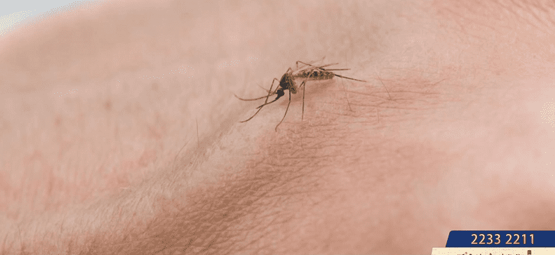 一家四口全中招！夏季蚊叮虫咬 小心丘疹性荨麻疹