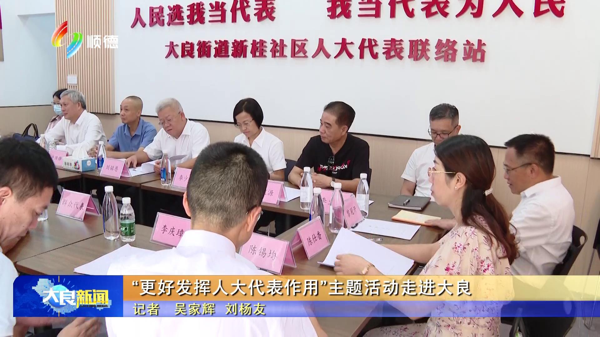 “更好发挥人大代表作用”主题活动走进大良