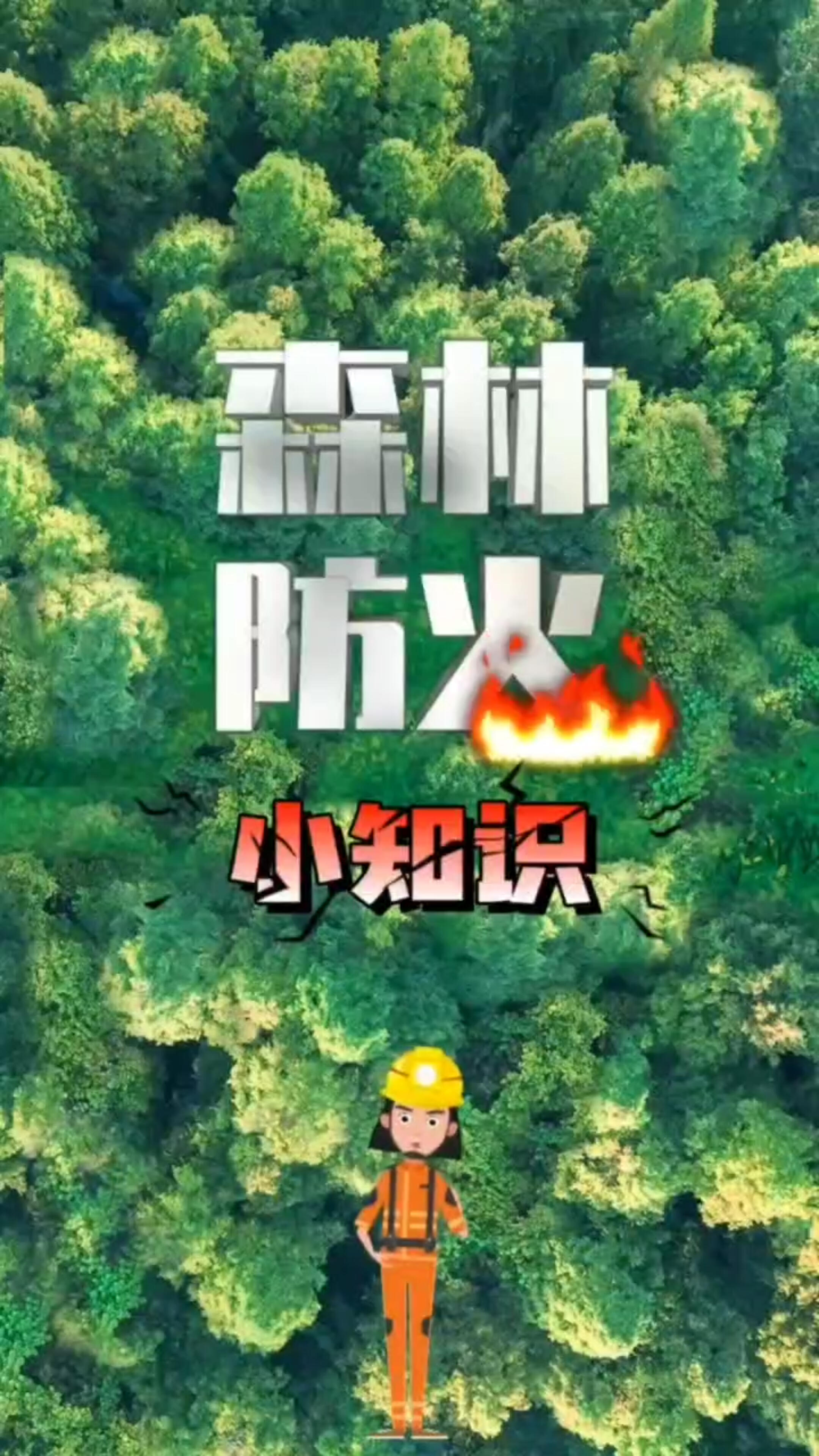 森林防火，牢记“十不要”