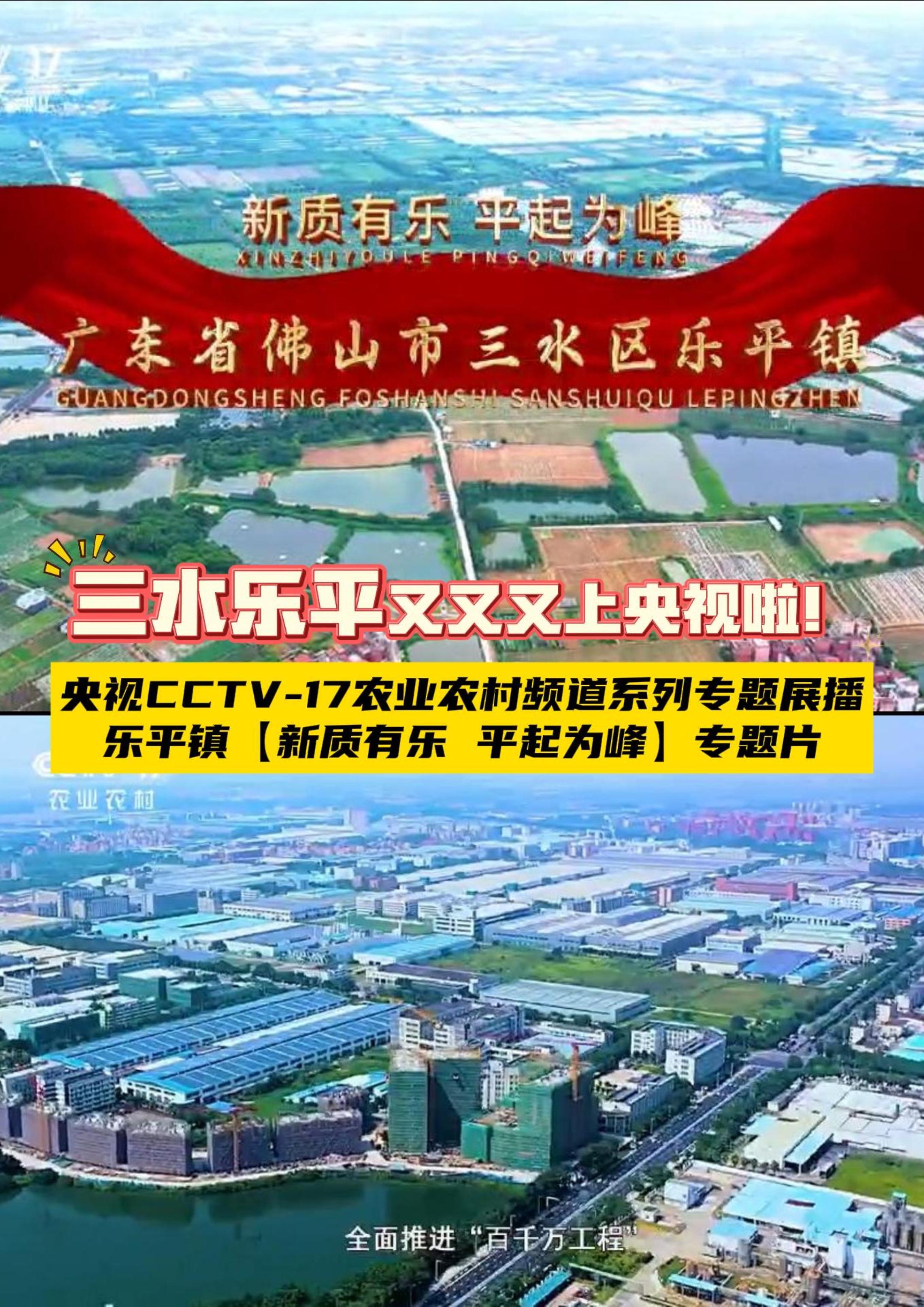 三水乐平又又又上央视啦！CCTV-17农业农村频道聚焦三水乐平