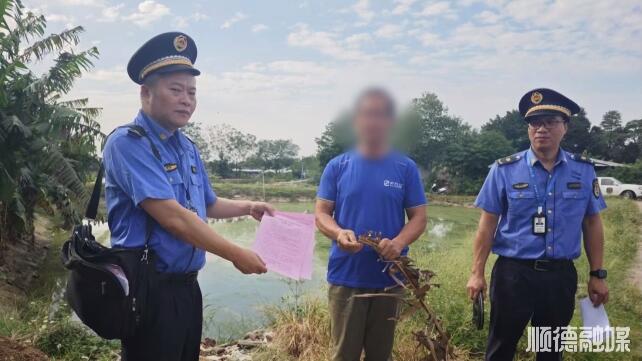溯源追踪严查，杏坛让偷倒行为无处遁形