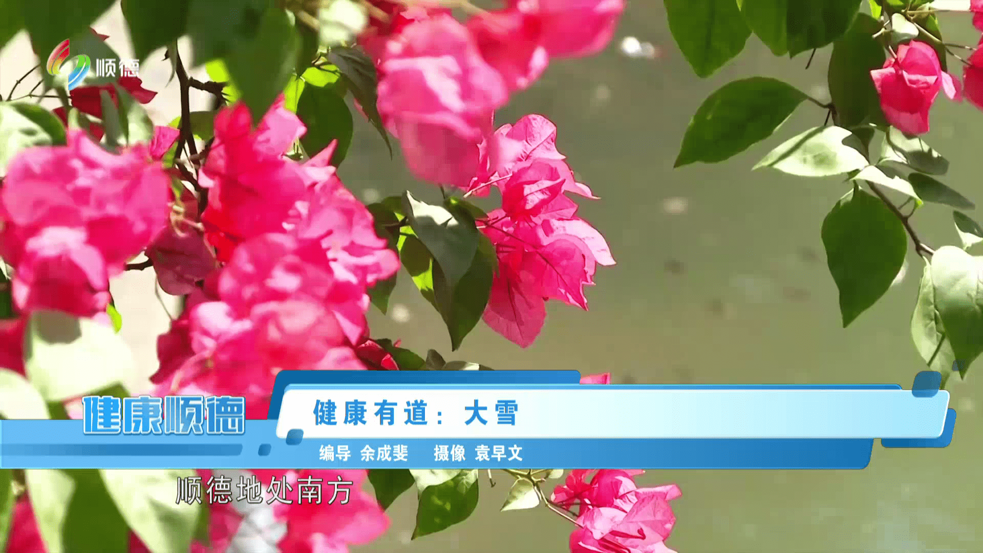 健康有道：大雪