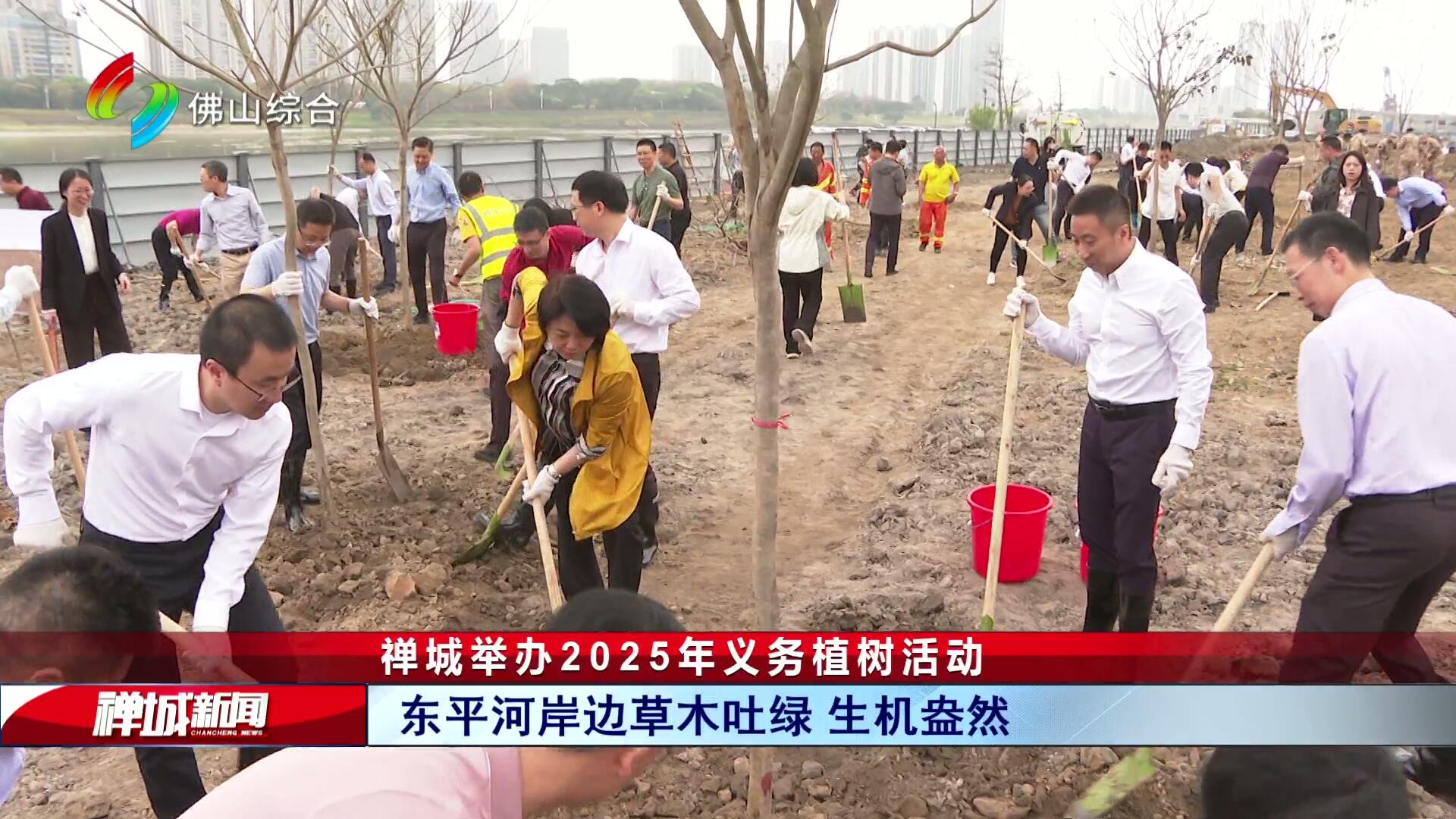 禅城举办2025年义务植树活动