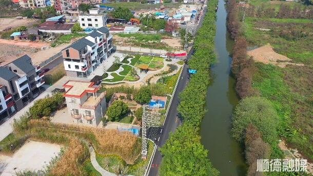 “政府主导+多方共建”推动杏坛四乡路焕新升级