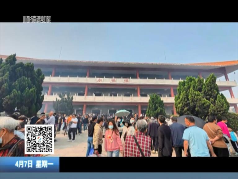 清明小长假 乐从8万余人次现场祭扫