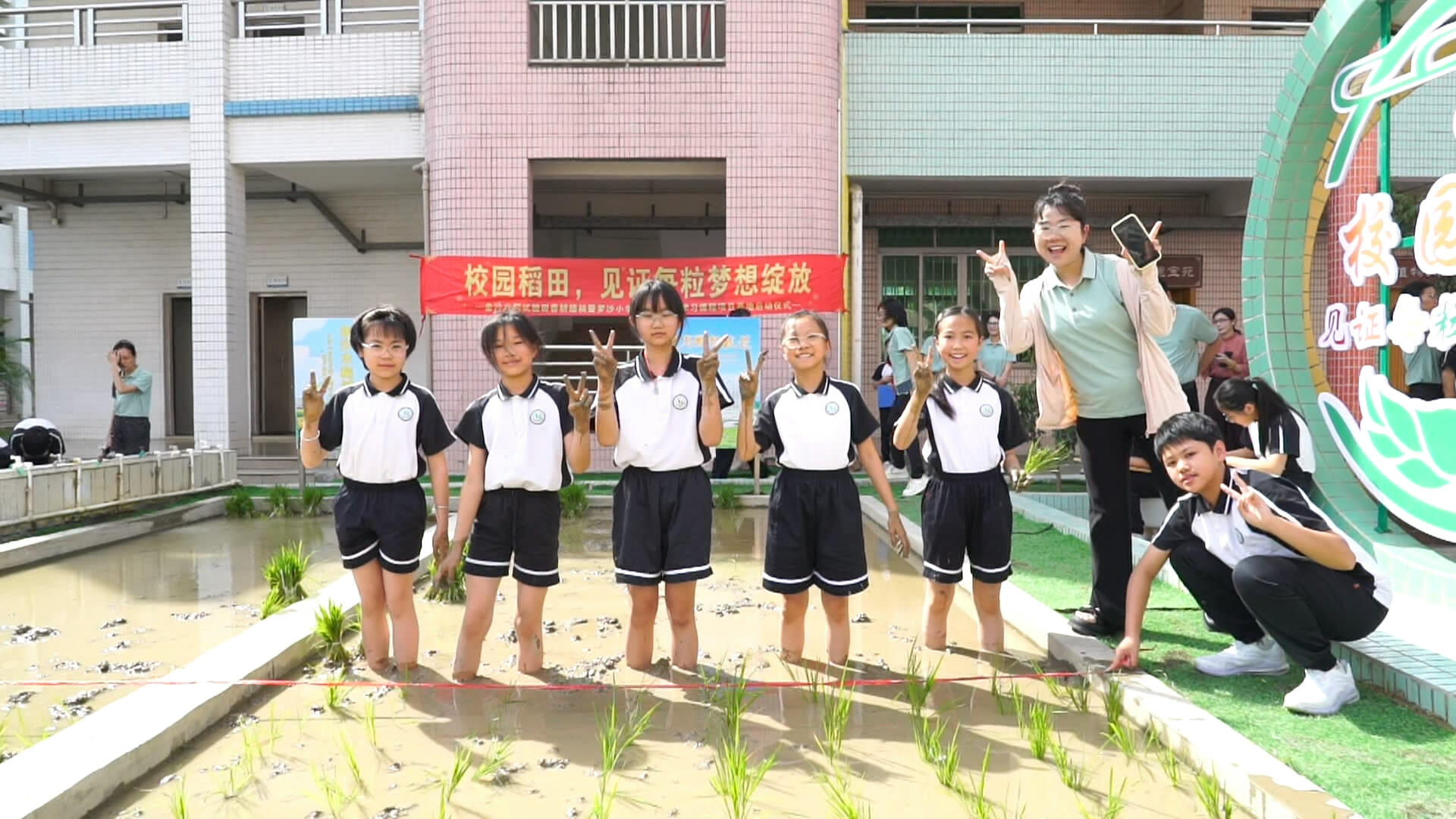 学生下田插秧 罗沙小学推进跨学科主题学习