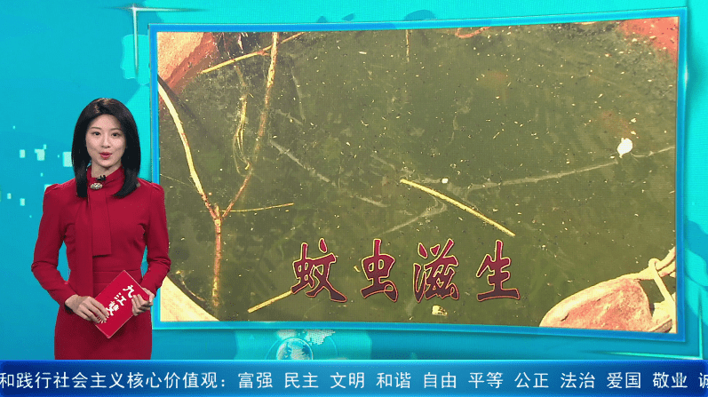 入夏“第一波蚊子”已苏醒！这些基层卫生死角需警惕！