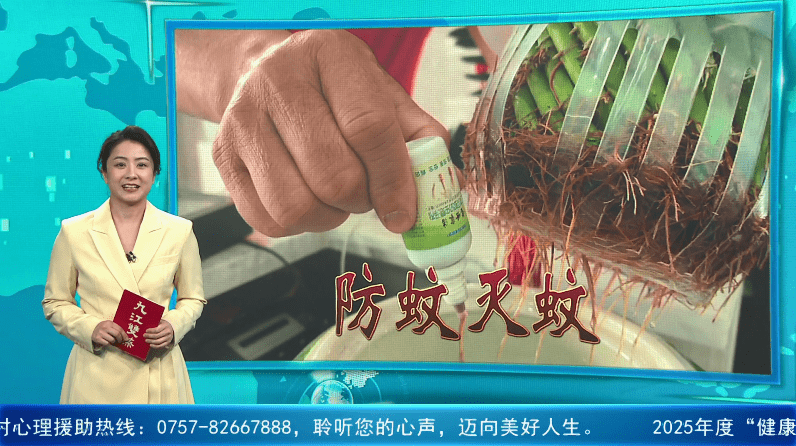 白糖、洗衣粉、洋葱成“灭蚊配方”？专业人士：可能起反作用！