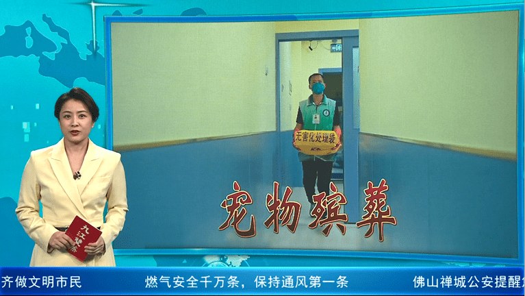 宠物殡葬服务调查：建议制定行业规则 健全监管制度