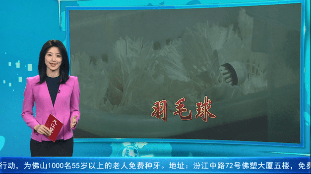 涨幅比黄金还猛！羽毛球价格高企催旺二手球交易