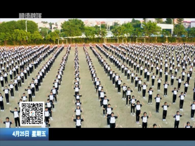 乐从体育教育荣获省级表彰
