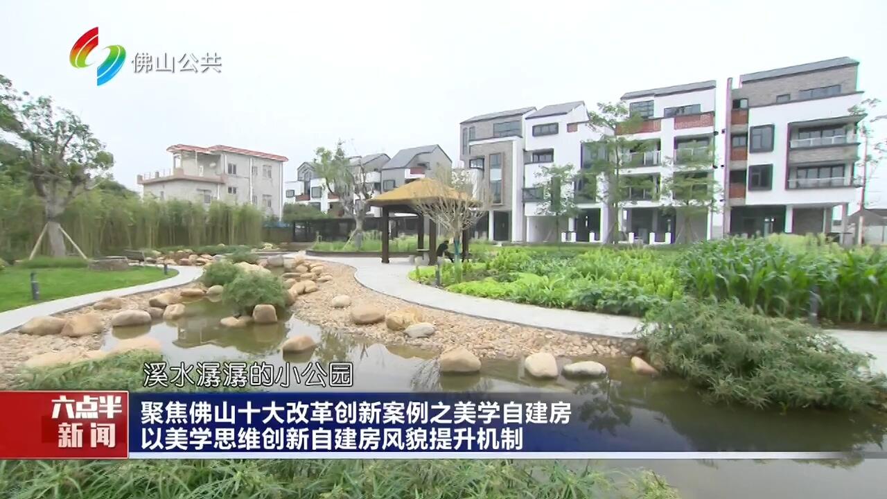 聚焦佛山十大改革创新案例之美学自建房