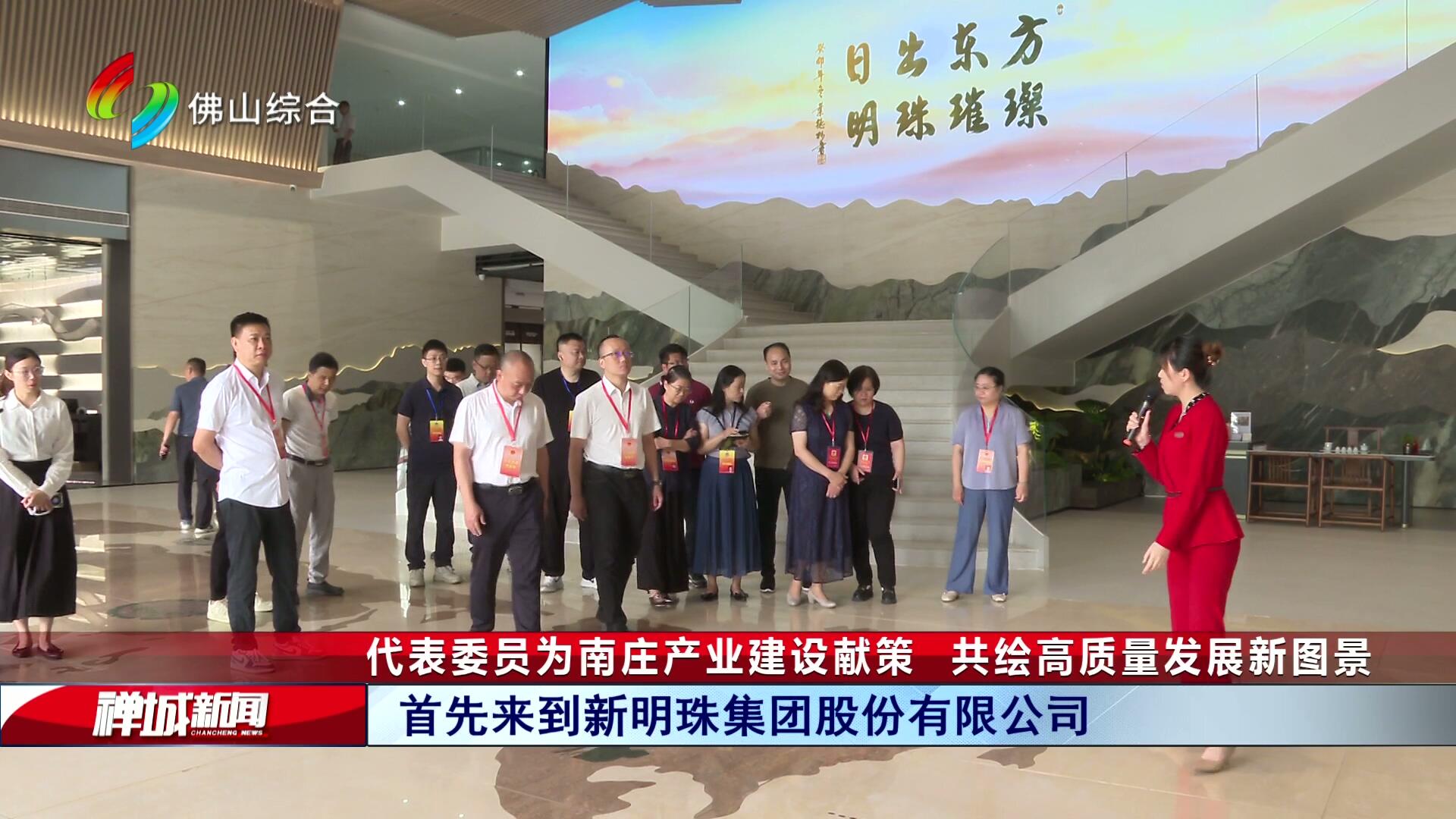 代表委员为南庄产业建设献策   共绘高质量发展新图景