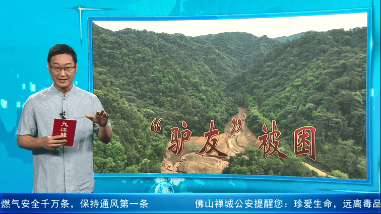 惊魂8小时！佛山消防雨夜搜救两名被困“驴友”