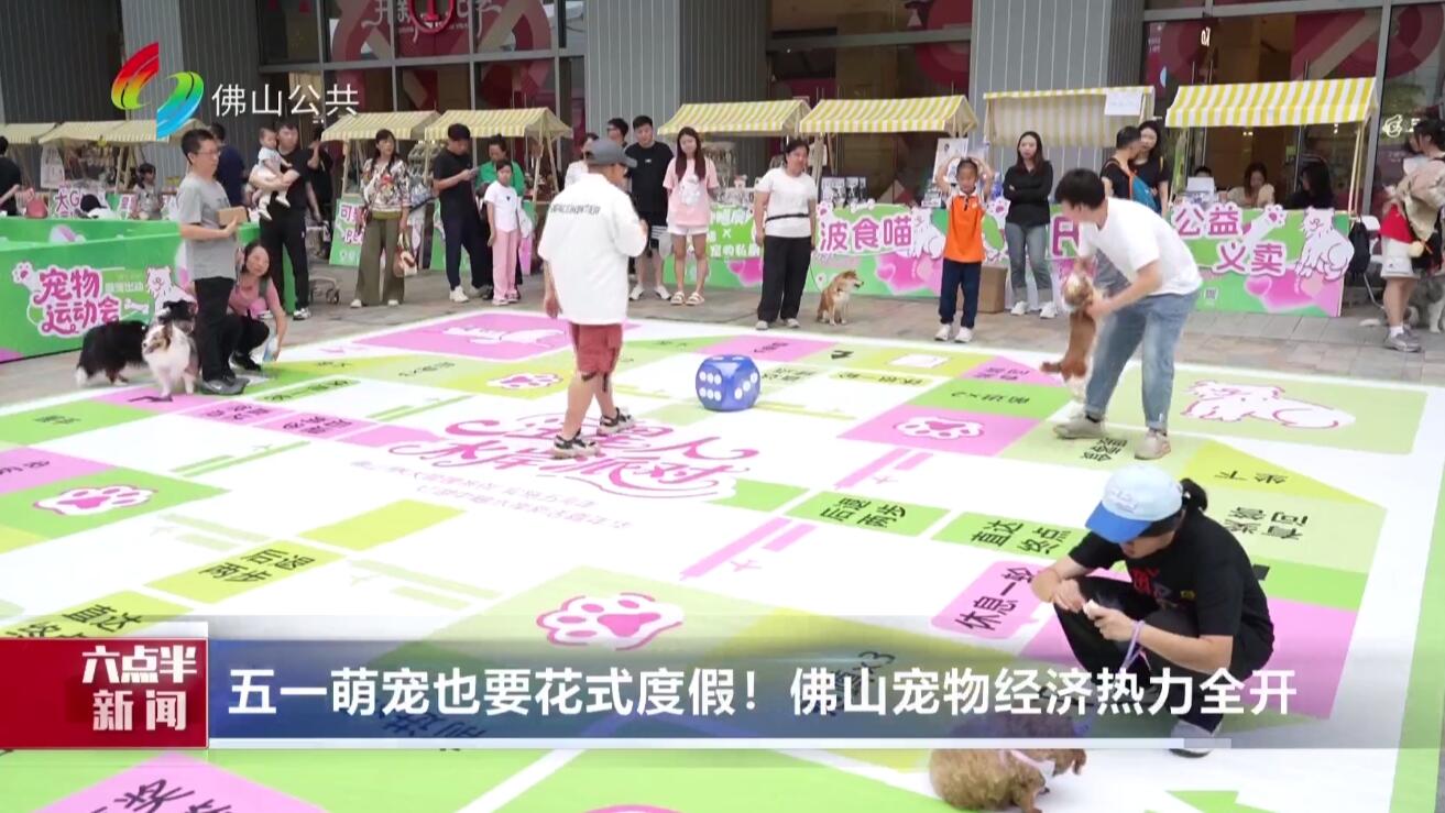 “五一”萌宠也要花式度假！佛山宠物经济热力全开