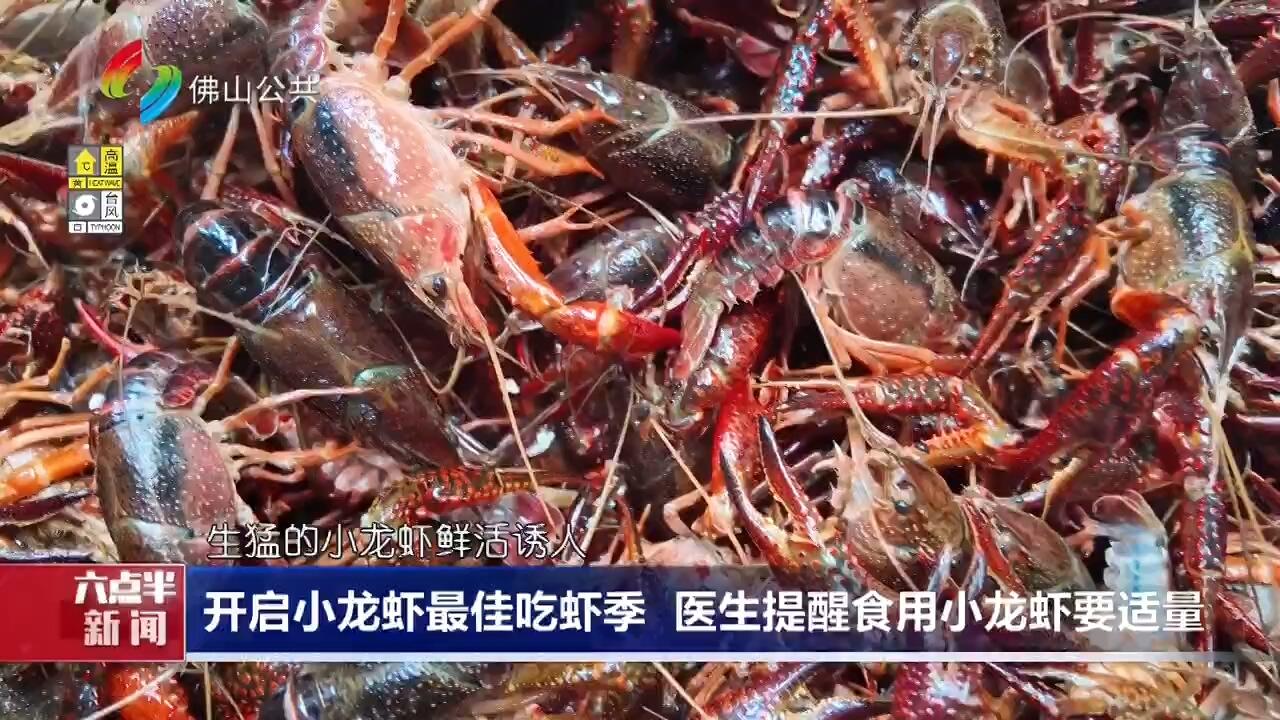 开启小龙虾最佳吃虾季  医生提醒食用小龙虾要适量