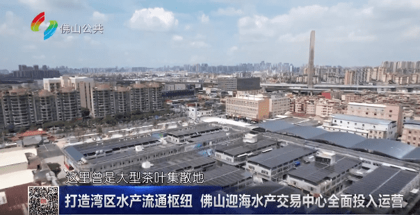 打造湾区水产流通枢纽 佛山迎海水产交易中心全面投入运营