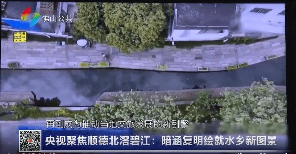 央视聚焦顺德北滘碧江：暗涵复明绘就水乡新图景
