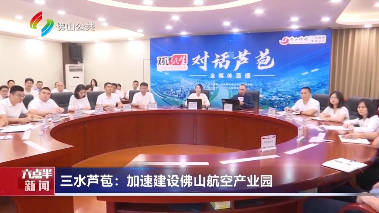 三水芦苞：加速建设佛山航空产业园