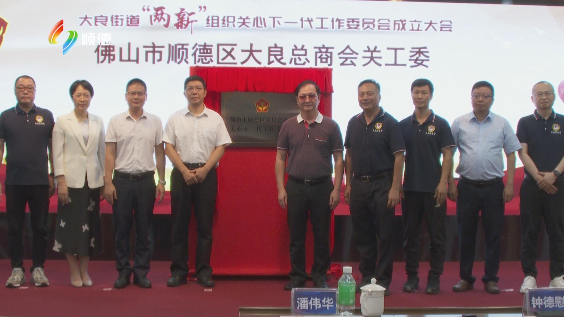 大良召开“两新”组织关心下一代工作委员会成立大会