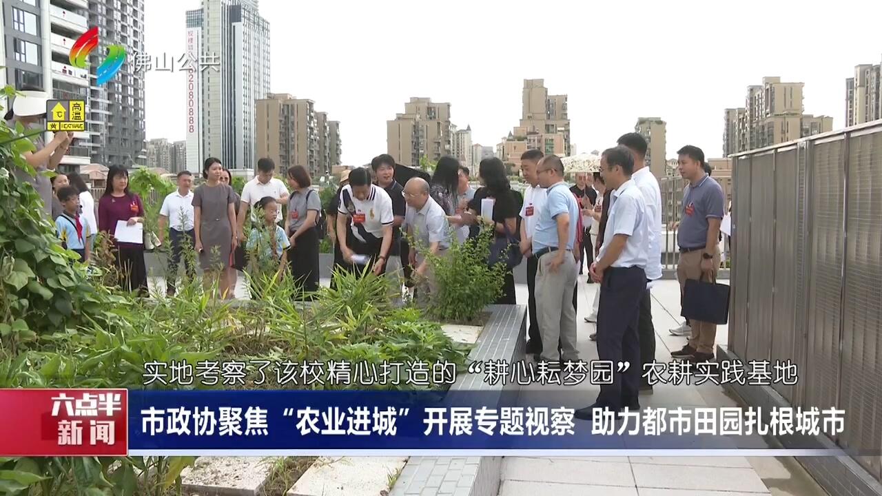 市政协聚焦“农业进城”开展专题视察 助力都市田园扎根城市