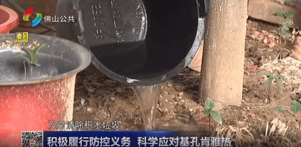 积极履行防控义务 科学应对基孔肯雅热