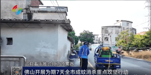 佛山开展为期7天全市成蚊消杀重点攻坚行动