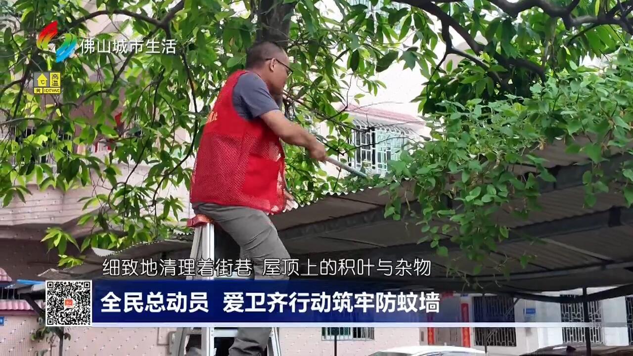 全民总动员 爱卫齐行动筑牢防蚊墙