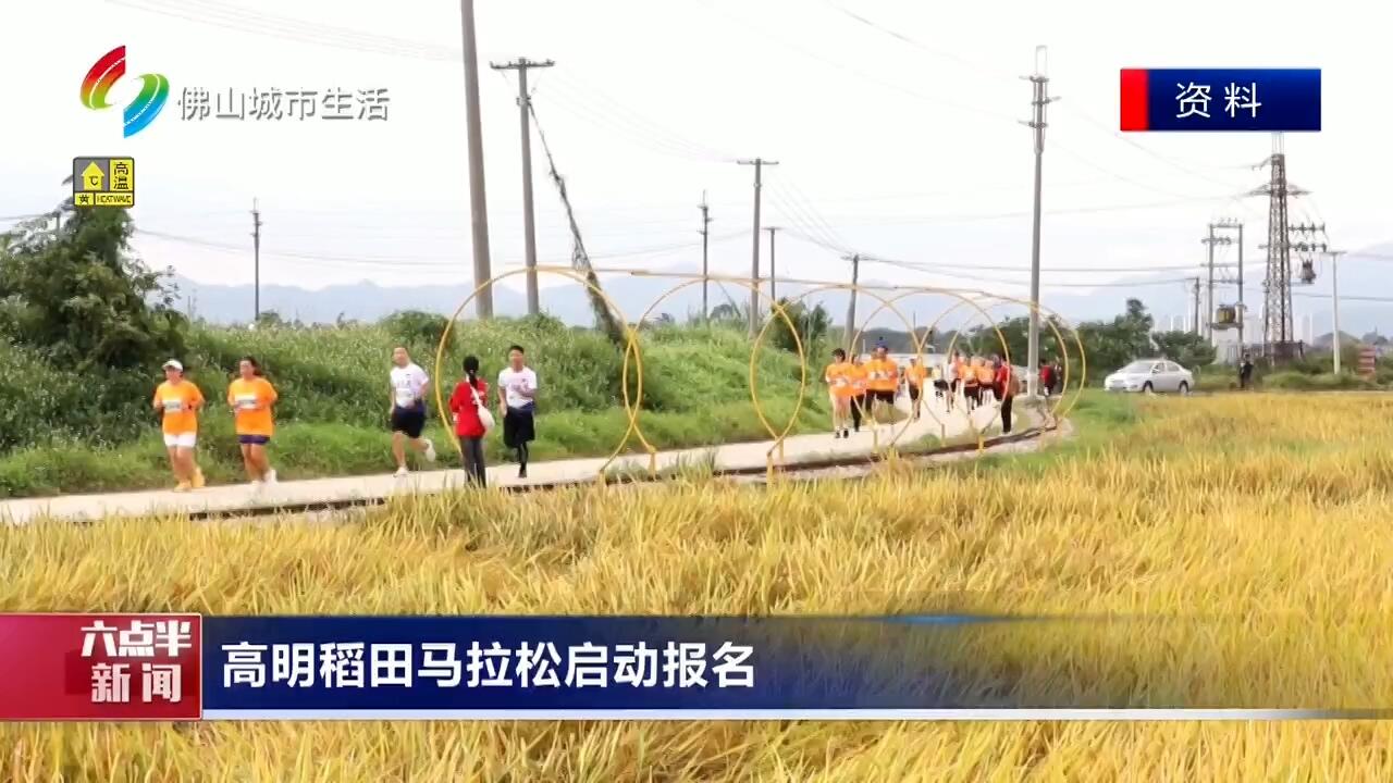 高明稻田马拉松启动报名
