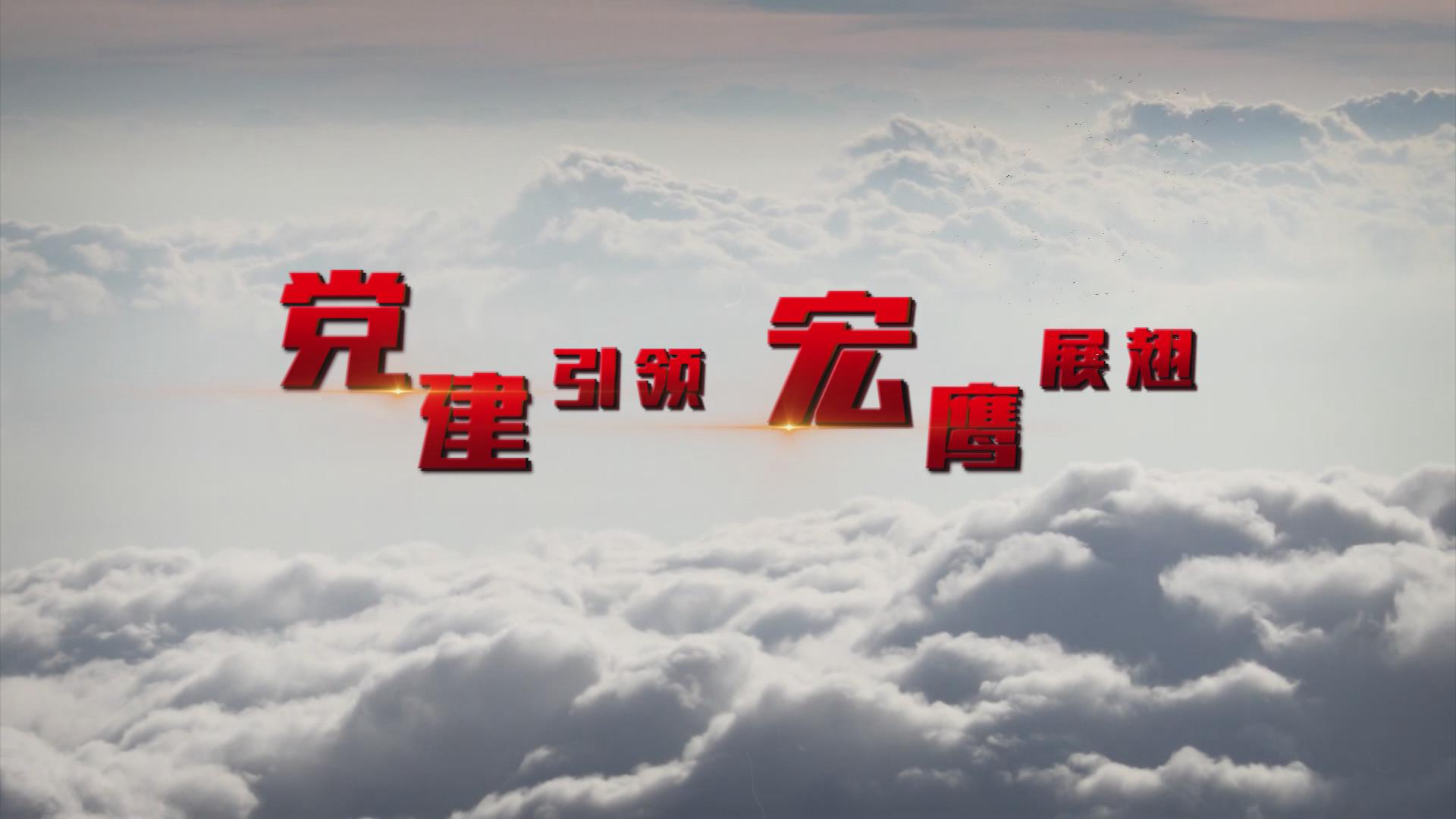 党建引领 宏鹰展翅