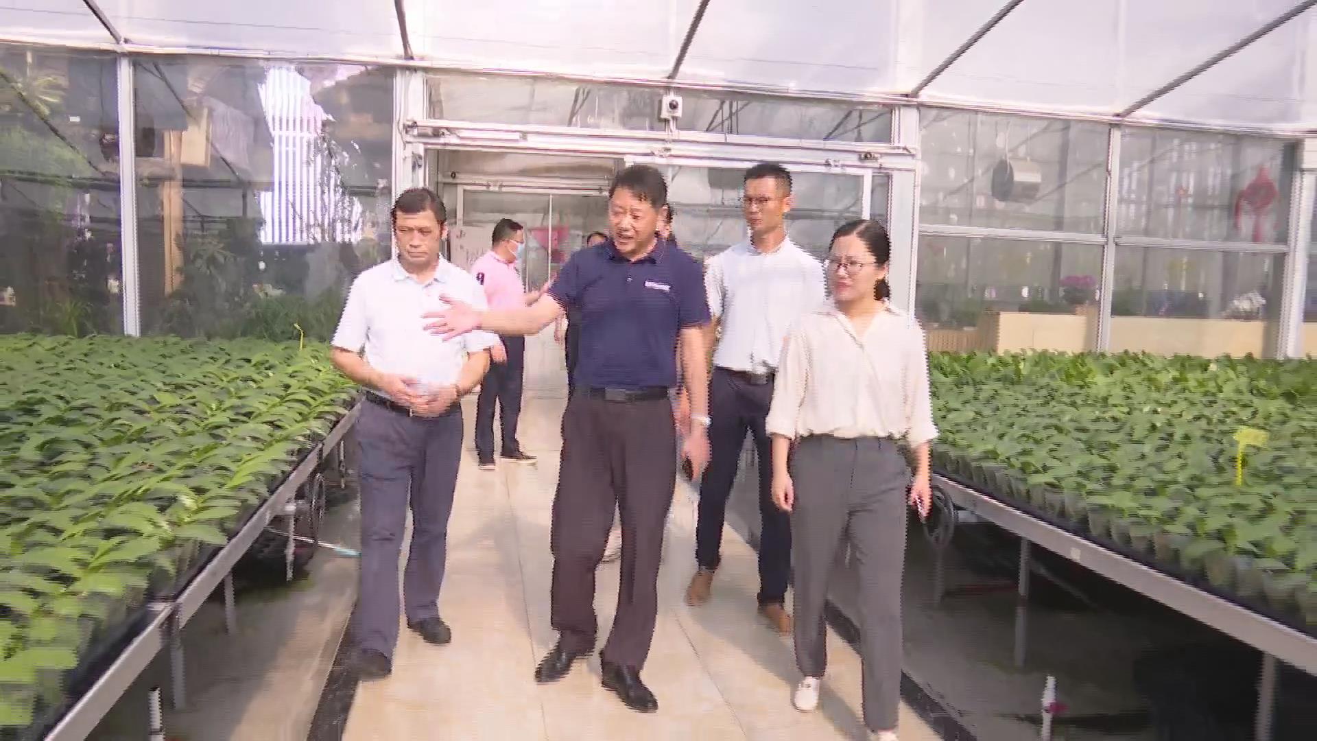 德庆马圩镇党考察团到里水寻求产业对接合作机会