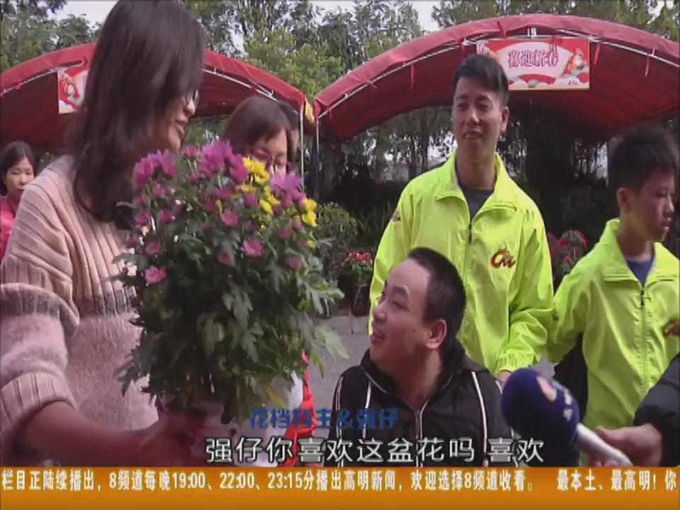 强仔的新年愿望：逛花街迎新春