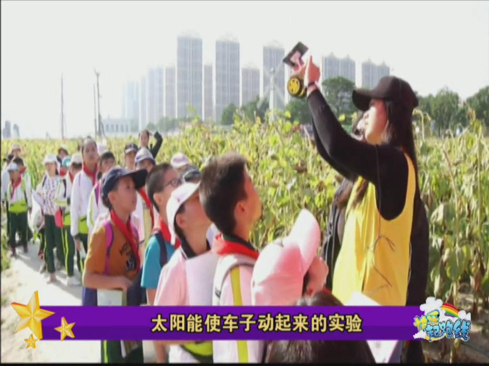 研学活动