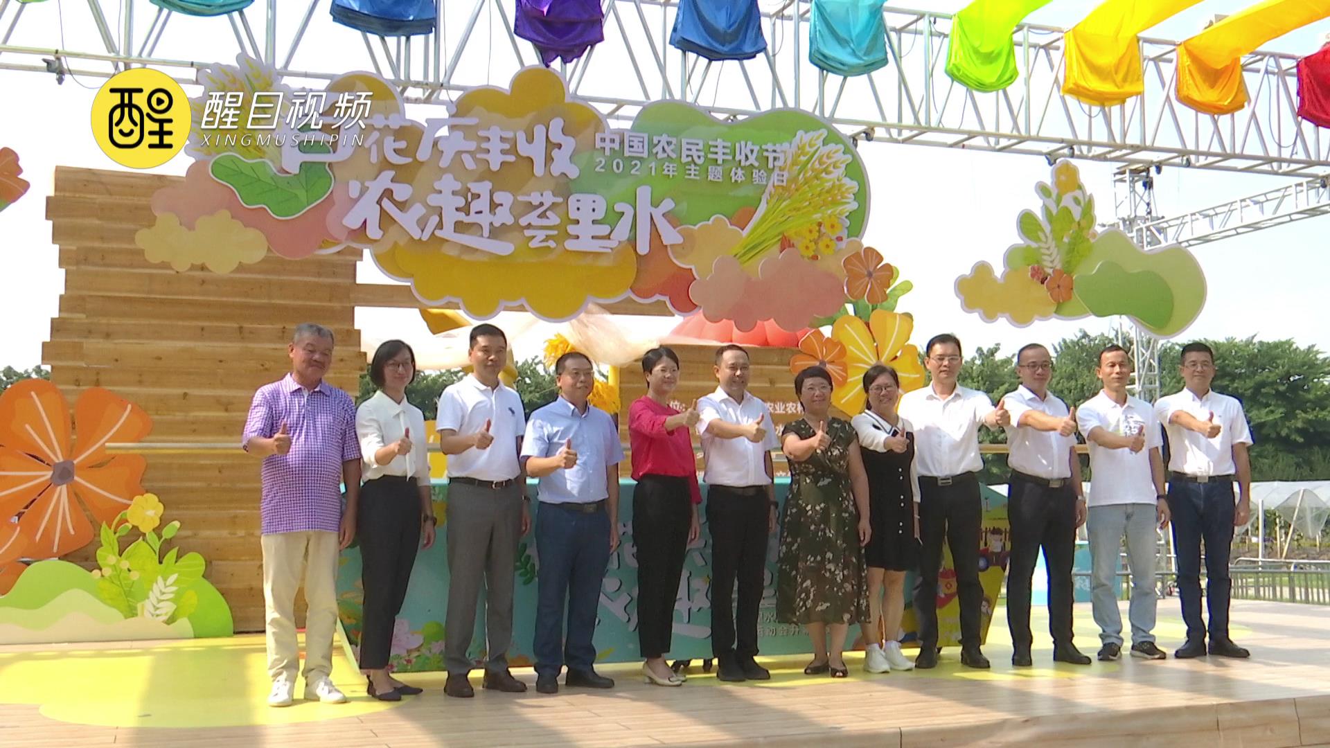 里水启动中国农民丰收节主题体验日活动