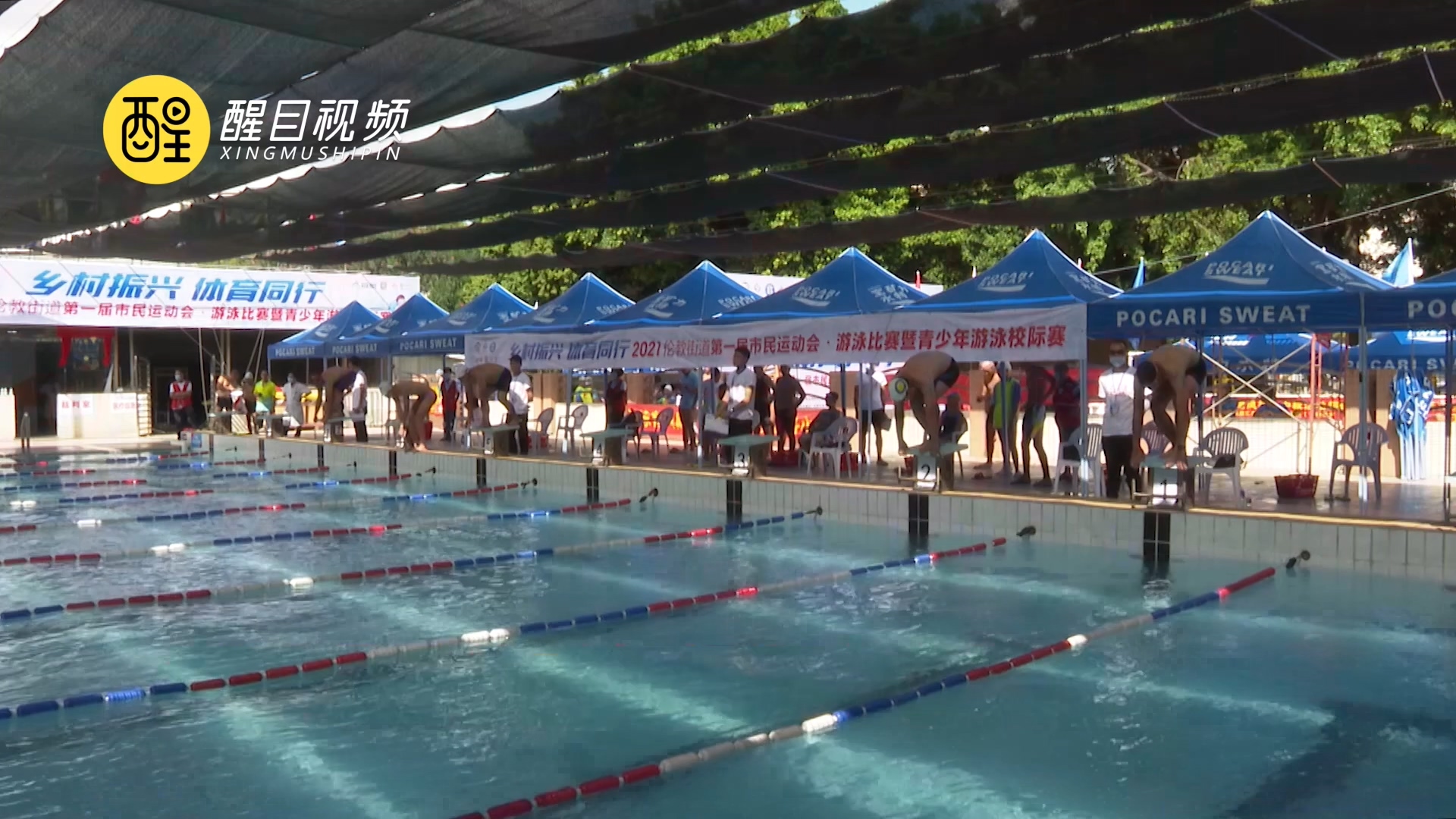 伦教首届市民运动会游泳比赛暨青少年游泳校际赛开赛