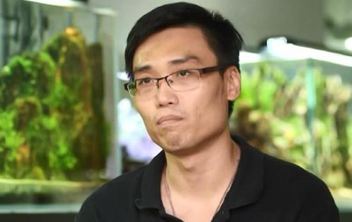 造景师的水底世界