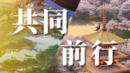 观点佛山 | 两地合力 同心战“疫”